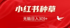 小红书种草，一台手机就可以，没脑子日入3张-中创网_专注互联网创业,项目资源整合-心诚资源网