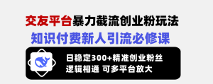 (14432期)交友网站暴力行为截留自主创业粉游戏玩法,社交电商新手引流方法必修课程,日平稳300 精确…-中创网_专注互联网创业,项目资源整合-心诚资源网