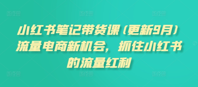 小红书笔记带货课(更新25年3月)流量电商新机会，抓住小红书的流量红利-中创网_专注互联网创业,项目资源整合-心诚资源网