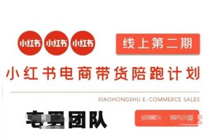 小红书电商卖货课2期，月盈利20个小红书电商的是一手货源，无货源电商，虚拟商品，付钱投流等全套游戏玩法-中创网_专注互联网创业,项目资源整合-心诚资源网