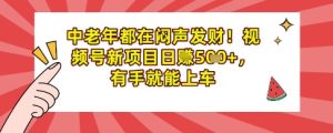 中老年人都是在闷声发财，微信视频号最新项目日入好几张，两双手就可进入车内-中创网_专注互联网创业,项目资源整合-心诚资源网