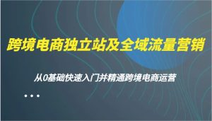 跨境电商电商独立站及全域流量营销推广，从0根本快速上手并熟练跨境电商运营-中创网_专注互联网创业,项目资源整合-心诚资源网