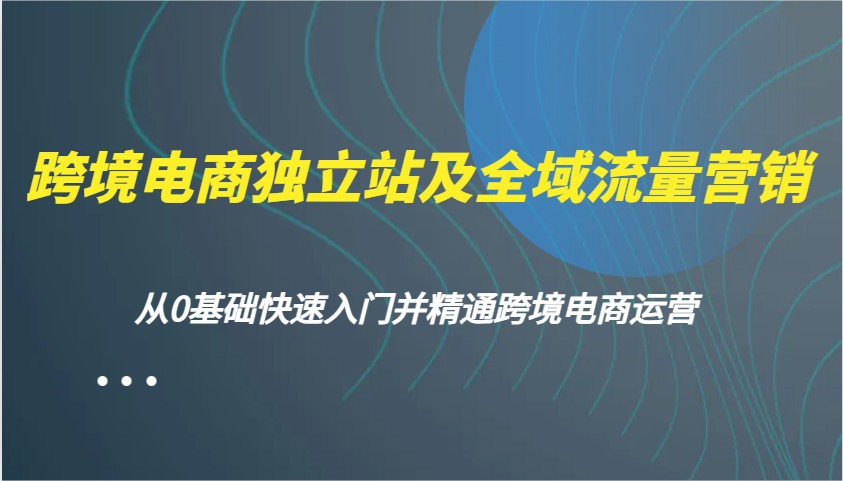 跨境电商电商独立站及全域流量营销推广，从0根本快速上手并熟练跨境电商运营-中创网_专注互联网创业,项目资源整合-心诚资源网
