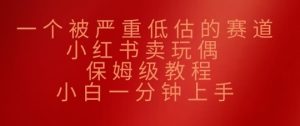 一个被严重低估的赛道，小红书的卖公仔，家庭保姆级实例教程，小白一min入门-中创网_专注互联网创业,项目资源整合-心诚资源网