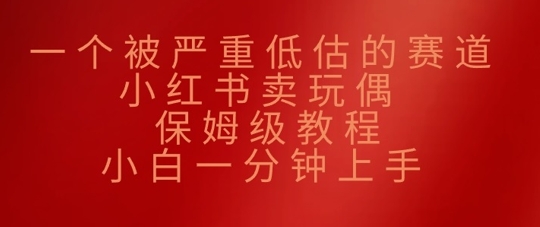一个被严重低估的赛道，小红书的卖公仔，家庭保姆级实例教程，小白一min入门-中创网_专注互联网创业,项目资源整合-心诚资源网