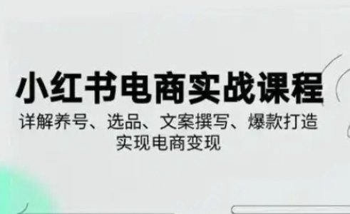 小红书从0-1实操课(2023-2025)，详解养号、选品、文案撰写、爆款打造实现电商变现-中创网_专注互联网创业,项目资源整合-心诚资源网