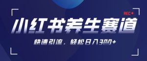 AI 可画形成小红书的健康养生著作，初学者暴力行为养号，引流矩阵实际操作，轻轻松松日入3张-中创网_专注互联网创业,项目资源整合-心诚资源网