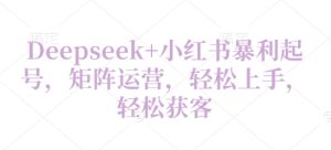 Deepseek 小红书的爆利养号，引流矩阵经营，快速上手，轻轻松松拓客-中创网_专注互联网创业,项目资源整合-心诚资源网