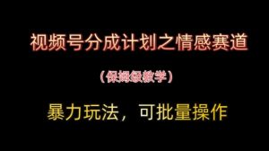 微信视频号分为方案之情绪跑道暴力行为游戏玩法,可批量处理,家庭保姆级课堂教学-中创网_专注互联网创业,项目资源整合-心诚资源网