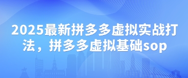 2025全新拼多多平台虚似实战演练玩法，拼多多平台虚似基本sop-中创网_专注互联网创业,项目资源整合-心诚资源网