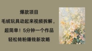 毛绒娃娃运动起来新项目拆卸，三四分钟一个作品，轻轻松松路转粉赚钱新模式-中创网_专注互联网创业,项目资源整合-心诚资源网