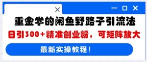 巨资学得闲鱼平台歪门邪道引流法,日引300 精确自主创业粉,可引流矩阵变大-中创网_专注互联网创业,项目资源整合-心诚资源网