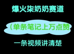 小红书的爆红柒姥姥，13 天增粉 8.7 W，全过程拆卸-中创网_专注互联网创业,项目资源整合-心诚资源网