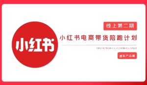 2025小红书的虚似电子商务实战演练课，从0到1打造出无货源店铺，AI 爆品手记轻轻松松转现-中创网_专注互联网创业,项目资源整合-心诚资源网