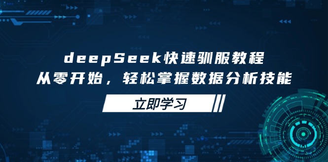 （14536期）deepSeek迅速收服实例教程，从零开始，快速掌握数据分析技能-中创网_专注互联网创业,项目资源整合-心诚资源网