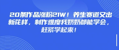 20条著作增粉21W！健康养生跑道又出新花样，制做难度系数我奶奶都可以懂得，赶快学习起来-中创网_专注互联网创业,项目资源整合-心诚资源网