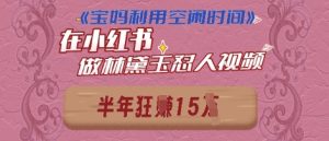 宝妈利用空闲时间，小红书做林黛玉在线怼人视频，快速涨粉，实现账号变现-中创网_专注互联网创业,项目资源整合-心诚资源网