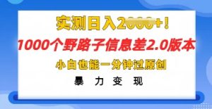 2025抖音视频1000个歪门邪道信息不对称全新游戏玩法,一分钟过原创设计,暴力行为转现月入几k-中创网_专注互联网创业,项目资源整合-心诚资源网
