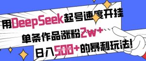 用DeepSeek养号速率开外挂，一条著作增粉2w ，日入5张 的赚钱游戏玩法-中创网_专注互联网创业,项目资源整合-心诚资源网