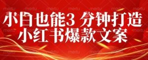 DeepSeek 黑科技：如何 3 分钟搞定小红书爆款文案 + 公众号文章 10W+？答案在这里-中创网_专注互联网创业,项目资源整合-心诚资源网
