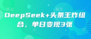 DeepSeek+头条王炸组合,单日变现3张-中创网_专注互联网创业,项目资源整合-心诚资源网