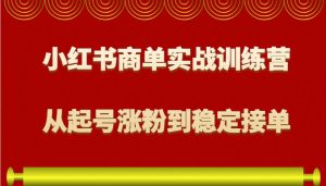 小红书商单实战训练营,从0到1教你如何变现,从起号涨粉到稳定接单,适合新手-中创网_专注互联网创业,项目资源整合-心诚资源网