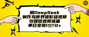 用DeepSeek制作鸟世界摄影级视频,引爆短视频流量,单日变现1k-中创网_专注互联网创业,项目资源整合-心诚资源网