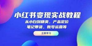 小红书变现实战教程:从小白到精英,产品定价,笔记带货,账号运营等-中创网_专注互联网创业,项目资源整合-心诚资源网