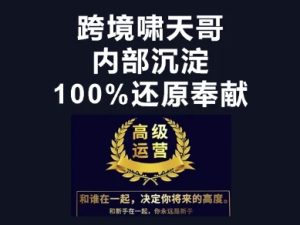 漫威英雄跨境电商夏令营-跨境电子商务实例教程-中创网_专注互联网创业,项目资源整合-心诚资源网