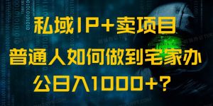 (14400期)公域IP 卖项目,平常人怎样做到蹲在家里办公室完成日入1000-中创网_专注互联网创业,项目资源整合-心诚资源网