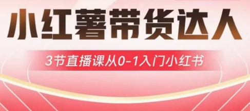 小红书主播带货启航计划，3节视频课堂从0-1新手入门小红书的-中创网_专注互联网创业,项目资源整合-心诚资源网