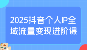 2025抖音个人IP全域流量变现进阶课:选爆品、抖音付费投流、千川投流实操及优化等-中创网_专注互联网创业,项目资源整合-心诚资源网