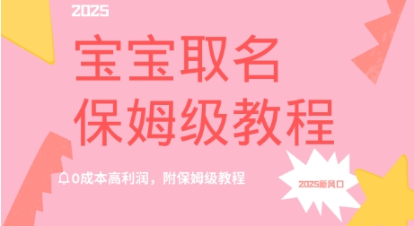 2025新风口项目宝宝取名，0成本高利润，附保姆级教程-中创网_专注互联网创业,项目资源整合-心诚资源网