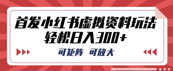 首发小红书虚拟资料玩法，可矩阵，可放大，轻松日入3张-中创网_专注互联网创业,项目资源整合-心诚资源网