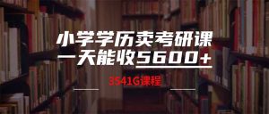 (14561期)小学文化卖考研班,一天收5600(附3580G考研究生合辑)-中创网_专注互联网创业,项目资源整合-心诚资源网