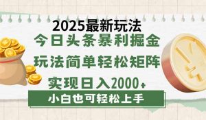 (14120期)今日今日头条2025全新游戏玩法,构思简易,拷贝,真正实现引流矩阵日入2000-中创网_专注互联网创业,项目资源整合-心诚资源网
