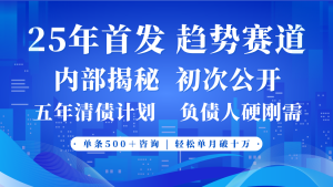 2025年首次亮相，真正意义上的事业心跑道，客咨持续，单月轻轻松松破十-中创网_专注互联网创业,项目资源整合-心诚资源网