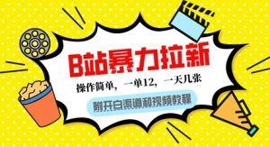 B站暴力拉新:一单12,一天几张,0门槛拉新(附渠道和教程)-中创网_专注互联网创业,项目资源整合-心诚资源网
