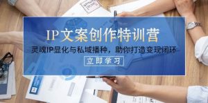 IP文案创作夏令营,生命IP证悟与公域栽种,帮助你打造出转现闭环控制(14堂课)-中创网_专注互联网创业,项目资源整合-心诚资源网
