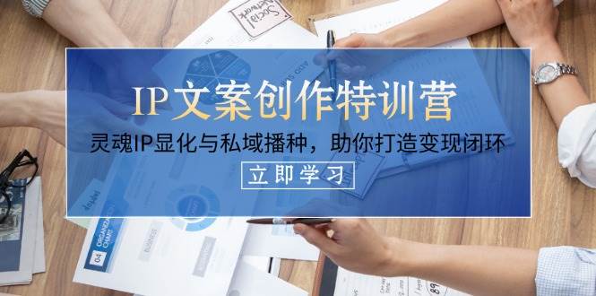 IP文案创作夏令营，生命IP证悟与公域栽种，帮助你打造出转现闭环控制（14堂课）-中创网_专注互联网创业,项目资源整合-心诚资源网