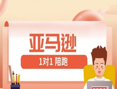 亚马逊平台1对1陪跑课(FBA/FBM精铺)跨境电商亚马逊平台实例教程-中创网_专注互联网创业,项目资源整合-心诚资源网