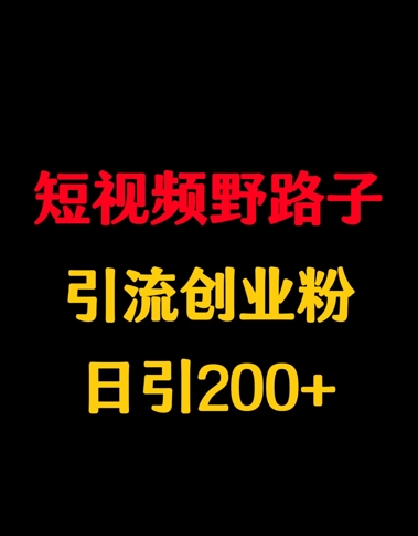 小视频歪门邪道引流方法自主创业粉，日引200-中创网_专注互联网创业,项目资源整合-心诚资源网