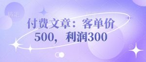 付费文章:客单量500,盈利300-中创网_专注互联网创业,项目资源整合-心诚资源网