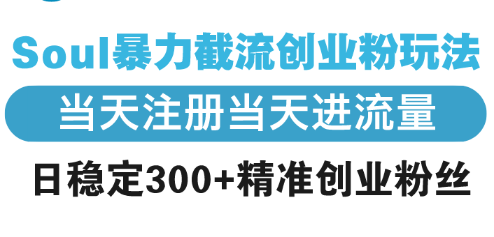 （13935期）Soul暴力截流创业粉玩法，当天注册当天进流量，日稳定300+精准创业粉丝-中创网_专注互联网创业,项目资源整合-心诚资源网