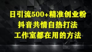 日引流方法500 精确自主创业粉，抖音视频同理心自然玩法，个人工作室都在用的方式-中创网_专注互联网创业,项目资源整合-心诚资源网