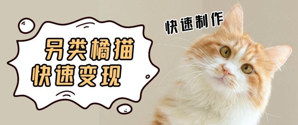 5个作品增粉30W！AI 武林橘猫视频制做，新手轻松入手，一条条爆品，一条条转现，单日就可盈利-中创网_专注互联网创业,项目资源整合-心诚资源网