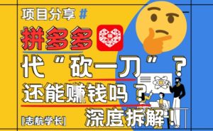 【2025全新】拼多多平台代坎助推新项目深层拆卸:还可以挣钱吗?全过程游戏玩法-中创网_专注互联网创业,项目资源整合-心诚资源网