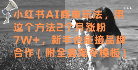小红书的AI商单游戏玩法，用这种方法2个月增粉7W ，初学者也能接品牌合作(附整套命令模版)-中创网_专注互联网创业,项目资源整合-心诚资源网