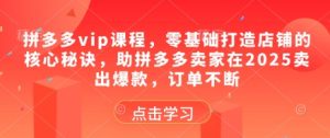 拼多多vip课程,零基础打造店铺的核心秘诀,助拼多多卖家在2025卖出爆款,订单不断-中创网_专注互联网创业,项目资源整合-心诚资源网