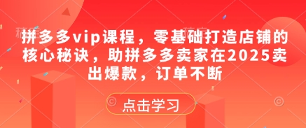 拼多多vip课程，零基础打造店铺的核心秘诀，助拼多多卖家在2025卖出爆款，订单不断-中创网_专注互联网创业,项目资源整合-心诚资源网